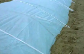介绍济南农用无纺布的掩盖方法