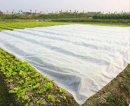 济南农用无纺布市场是否会有大的发展前景？